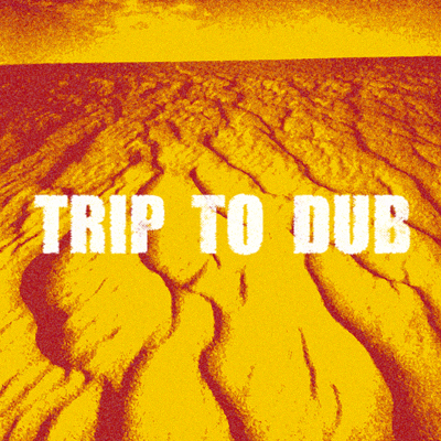 Trip to Dub