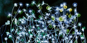 © Kathrin Linkersdorff