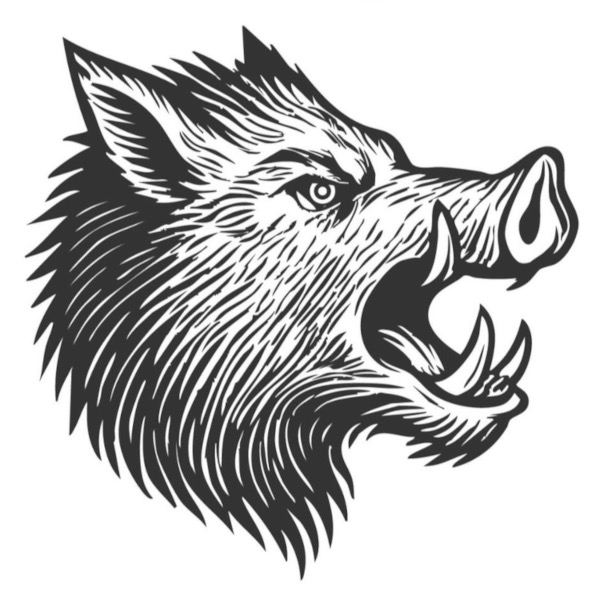 black and white drawing of wild boar head