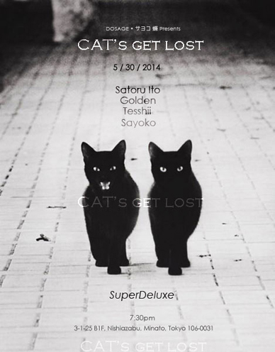 Cat's Get Lost